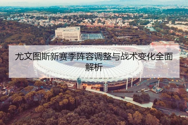 尤文图斯新赛季阵容调整与战术变化全面解析